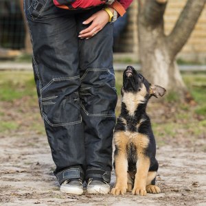 This image has an empty alt attribute; its file name is 00e57d2bba87829f84665b29ab8d.jpeg